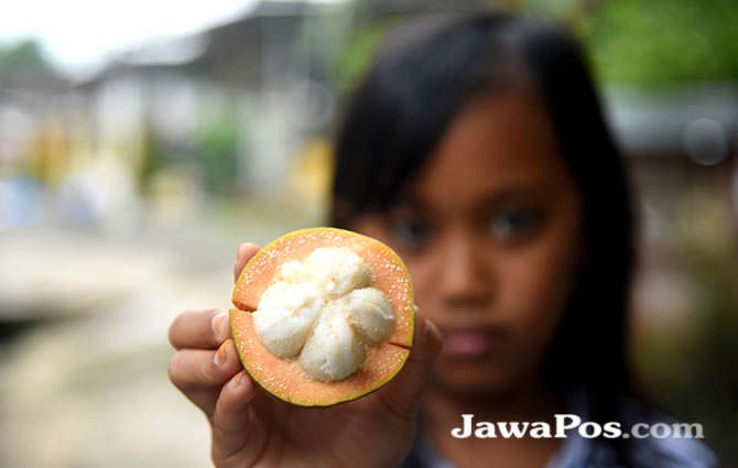 buah-sentul-alternatif-vitamin-c-murah-meriah