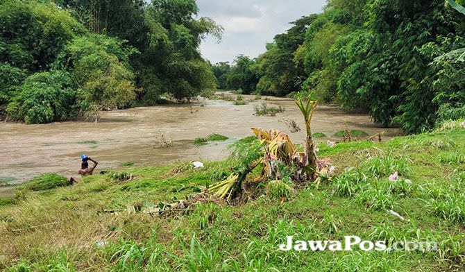 sungai-setail-plampangrejo-meluap-lahan-pertanian-ludes