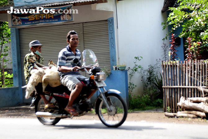 transaksi-pasar-hewan-mulai-normal