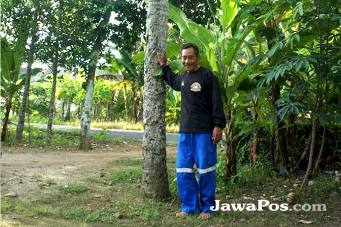 SAKSI: Iriyanto alias Bagong dengan pohon kelapa yang sempat dipanjang dalang dan warga saat tsunami terjadi pada 2 Juni 1994.