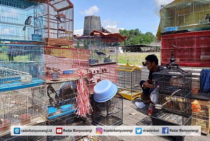 pasar-burung-banyuwangi-kurang-gairah