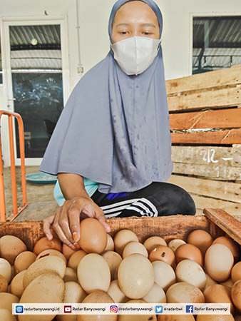 menjelang-lebaran-harga-telur-ayam-ras-masih-stabil