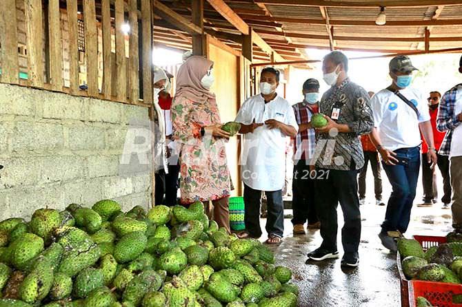frozen-fruit-banyuwangi-tembus-pasar-jakarta