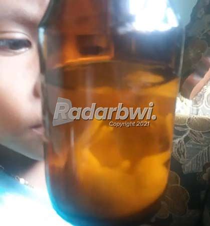 jamu-rendaman-kidang-kencono-diyakini-tambah-imun-dan-vitalitas-pria