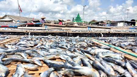 andalkan-kondisi-alam-produksi-ikan-asin-turun