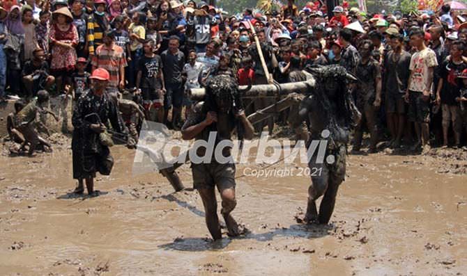 kebo-keboan-alasmalang-stop-beraksi-karena-masih-pandemi