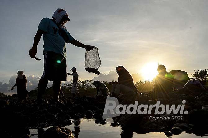 laut-surut-ramai-ramai-berburu-kerang