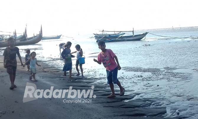 pantai-terjaga-warga-masih-mudah-mencari-kerang-laut
