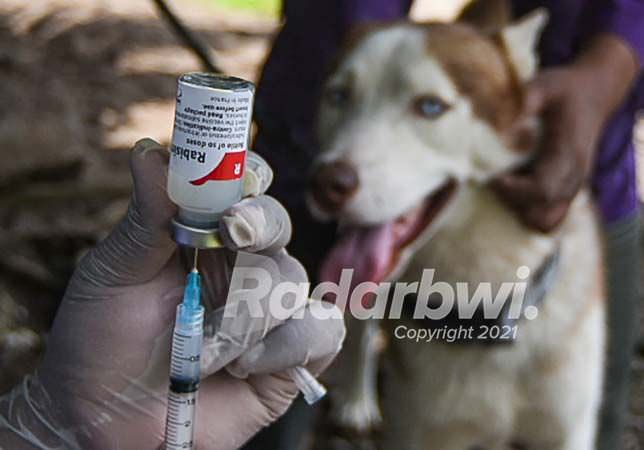 warga-apresiasi-pelaksanaan-vaksin-rabies