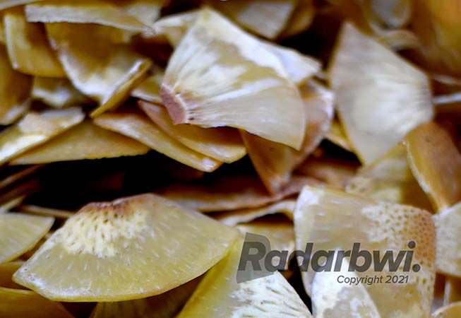 keripik-sukun-sumber-energi-dengan-aroma-khas