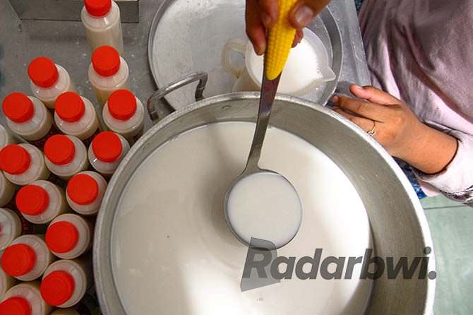 membuat-susu-kedelai-harus-direndam-semalaman