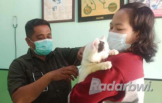 petugas-suntik-vaksin-rabies-datangi-pemilik-hewan