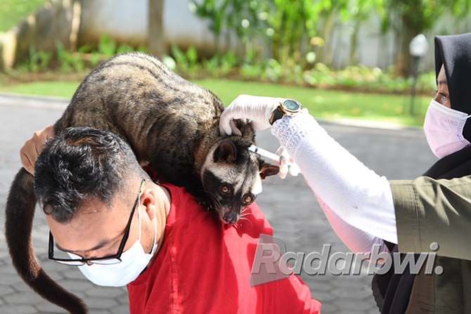 sediakan-900-vaksin-rabies-untuk-hewan-peliharaan