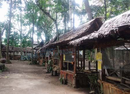 selama-pandemi-pedagang-wit-wit-an-ngaplo