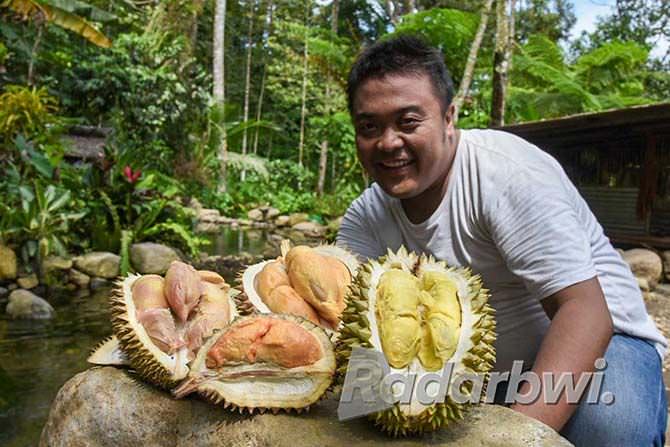 ada-puluhan-jenis-durian-banyuwangi