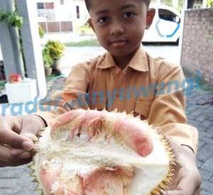 ada-puluhan-jenis-durian-banyuwangi