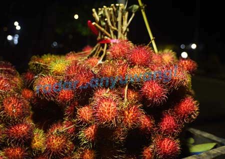 dampak-cuaca-produksi-rambutan-menurun