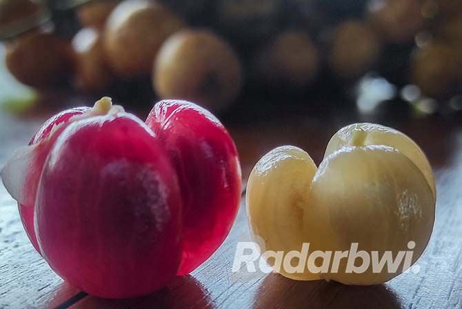 kepundung-merah-atau-putih-sama-sama-segar