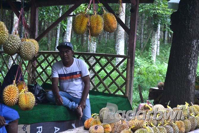 rasa-durian-asli-glenmore-bersaing