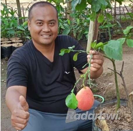 spesialis-menanam-buah-langka