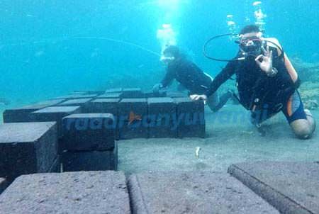 tenggelamkan-200-koral-acropora-di-pantai-gwd