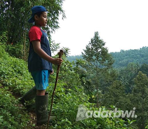 durian-segobang-diserang-kera-petani-giliran-jaga-kebun