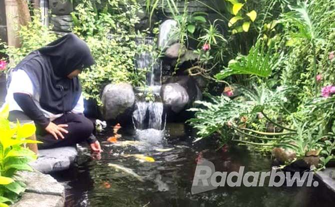 kolam-bahan-alam-lebih-menyatu-dengan-alam
