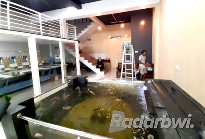 kolam-kaca-dalam-toko-jadi-hiburan-di-tempat-kerja