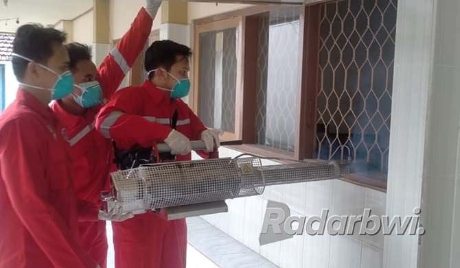 musim-hujan-tiba-waspadai-penyebaran-nyamuk-penyebab-dbd