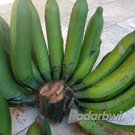 pisang-kayu-dikukus-bagus-digoreng-tetap-maknyus