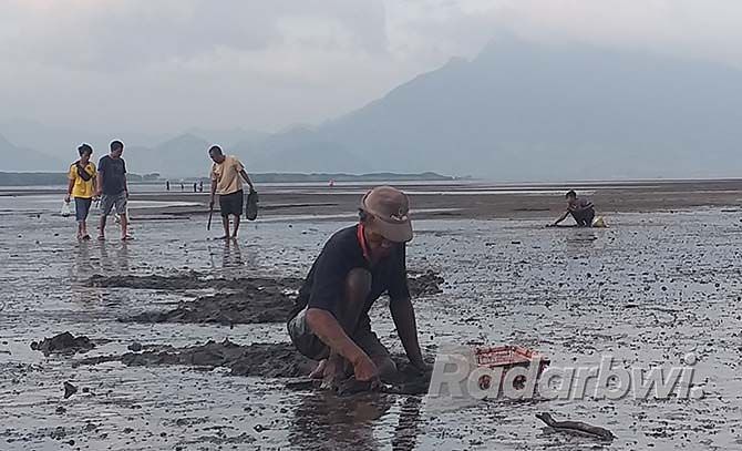 berburu-kerang-saat-air-laut-surut