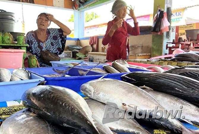 tongkol-cakalang-dan-tuna-serupa-tetapi-tak-sama