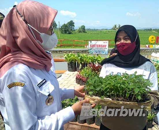 bupati-ipuk-bantu-bibit-dan-peternakan