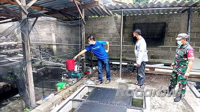 perbaiki-pompa-meninggal-tersengat-listrik-di-kolam-ikan-hias