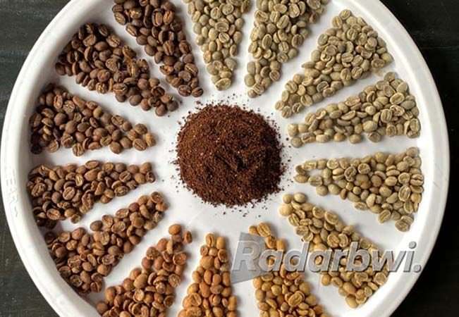 sangrai-modern-degassing-tiga-hari-pasca-roasting