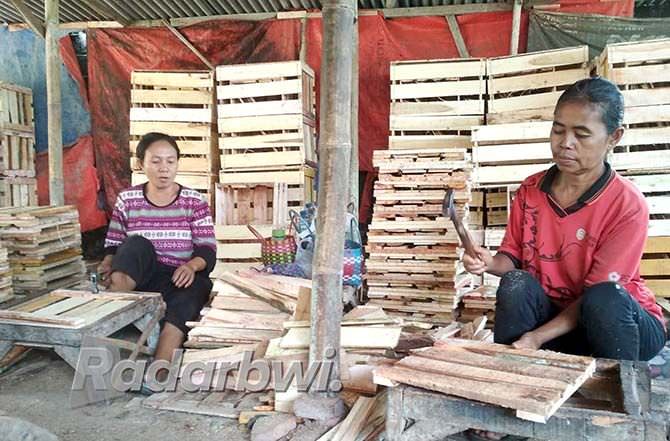 satu-peti-dibayar-rp-1000-sehari-selesaikan-50-peti-buah