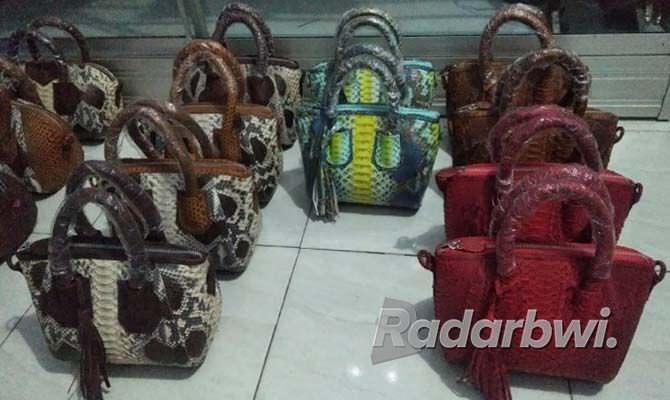 tas-kulit-ular-terkendala-pengiriman-selama-masa-pandemi