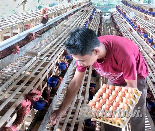 memasuki-bulan-ramadan-harga-telur-mulai-merangkak-naik
