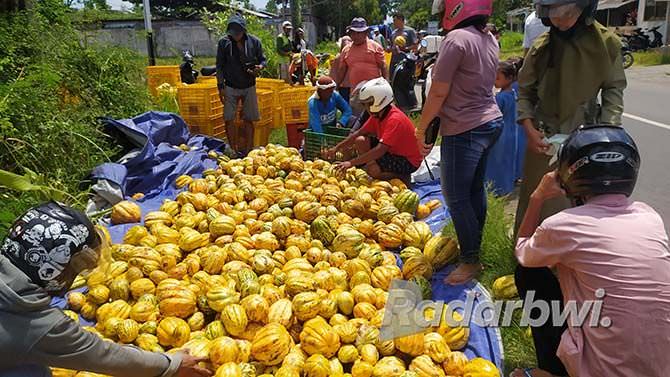 untuk-kebutuhan-buka-puasa-buah-blewah-laris-manis