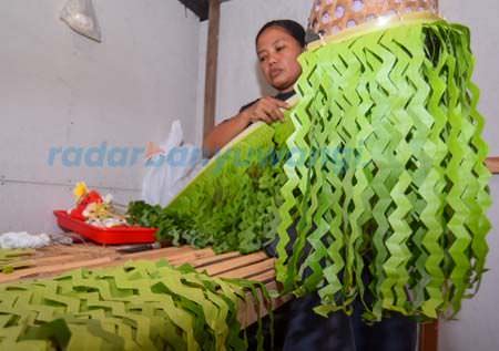 setiap-hari-omprog-harus-baru
