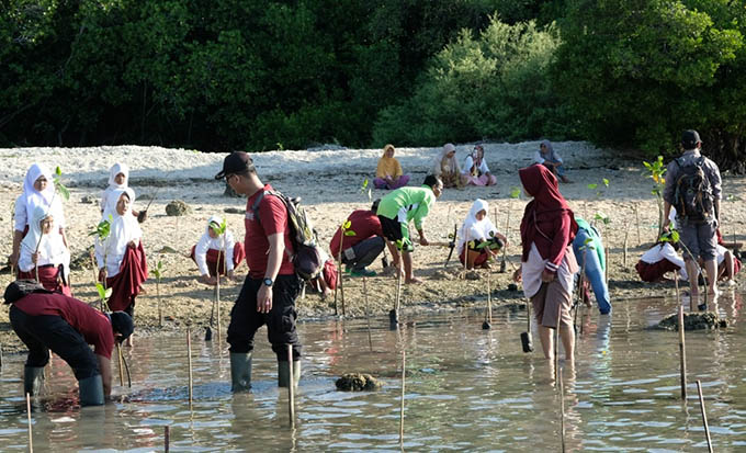 PEDULI LINGKUNGAN: Tim TJSL PLN UIP JBTB bersama puluhan siswa Sekolah Dasar (SD), dan masyarakat sekitar bahu membahu menanam mangrove di Pantai Bilik Sijile baru-baru ini.