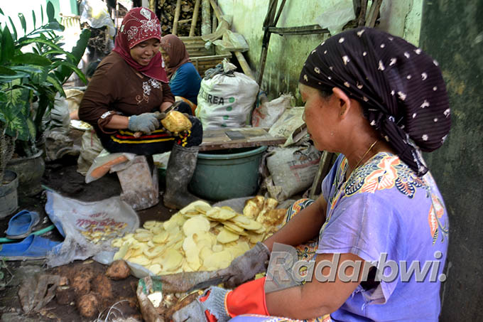 PROSES CUCI: Warga membersihkan ubi gadung sebelum mengolahnya menjadi makanan. (Dedy Jumhardiyanto/Radar Banyuwangi)