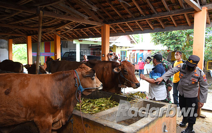 Anggota Muspida Banyuwangi memantau salah kandang sapi di Banyuwangi. Antisipasi penularan PMK terus dilakukan agar tidak semakin menyebar. (Ramada Kusuma/Radar Banyuwangi)