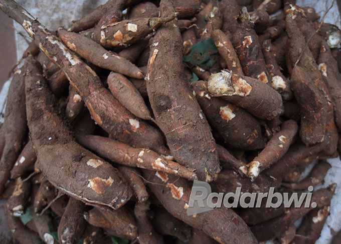Singkong dijual di hampir seluruh pasar tradisional di Banyuwangi. (Ramada Kusuma/Radar Banyuwangi)
