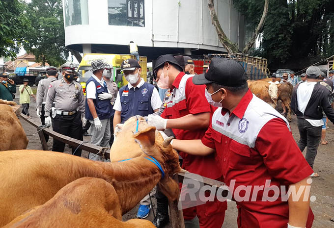 WASPADA PMK: Petugas puskeswan bersama Forpimka Rogojampi memeriksa sapi di pasar hewan setempat Senin (13/6) lalu. (Dedy Jumhardiyanto/Radar Banyuwangi)