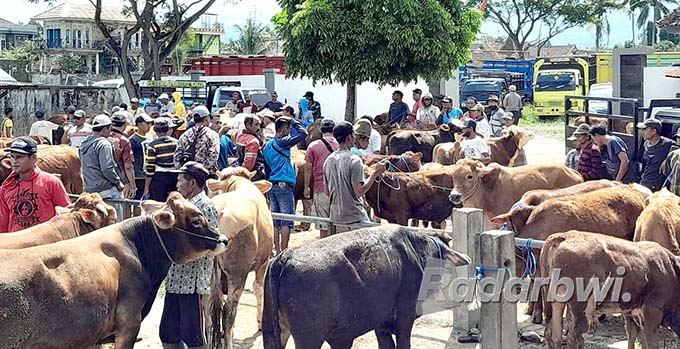 BERKERUMUN: Pasar hewan di Desa Karangharjo, Kecamatan Glenmore cukup ramai meski sedang diterjang isu PMK, Jumat (3/6) lalu. (Irham Muzaki/Radar Genteng)