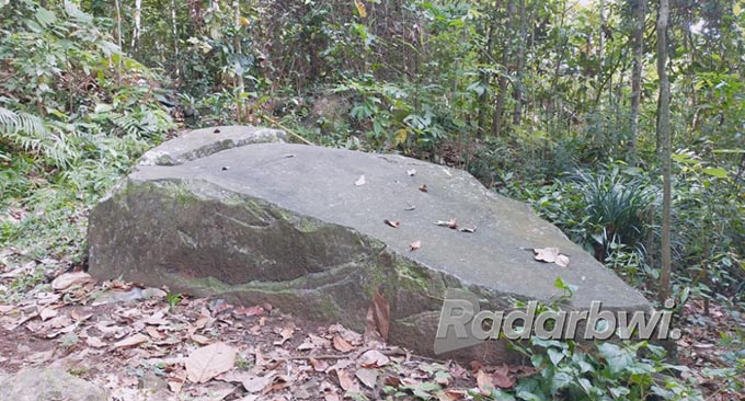 SAKRAL: Bentuk Watu Loso yang datar mirip tikar pada bagian ujungnya terdapat gundukan mirip seperti bantal di Desa Alasmalang, Kecamatan Singojuruh, Banyuwangi. (Dedy Jumhardiyanto/Radar Banyuwangi)