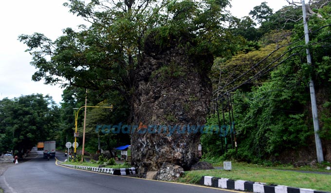 TERKENAL: Batu karang besar membelah ruas jalan nasional yang menghubungkan Banyuwangi dan Situbondo di Desa Ketapang, Kecamatan Kalipuro, Banyuwangi. (Ramada Kusuma/RadarBanyuwangi.id)