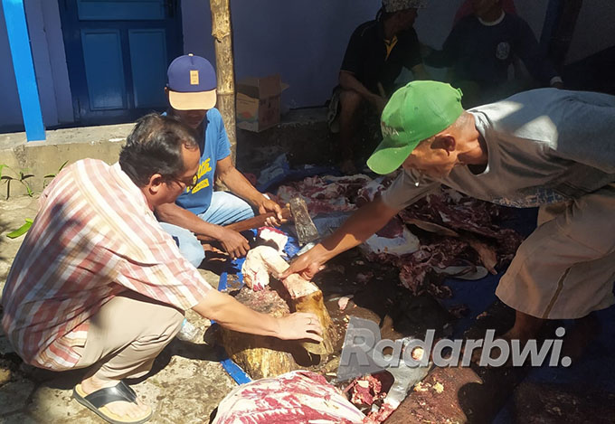 DIBAGI RATA: Pimpinan Cabang (PC) GP Ansor Situbondo menyembelih satu ekor sapi, di Kantor LBH PC Ansor Situbondo, Kelurahan Patokan, Kecamatan/Kota Situbondo, Minggu (10/7). (Humaidi/Radar Situbondo)