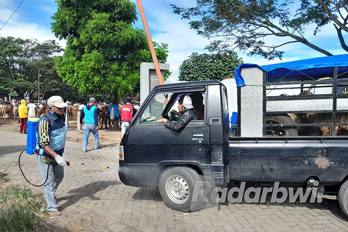 WASPADA PMK: Petugas dari Puskeswan Glenmore menyemprotkan cairan desinfektan pada kendaraan yang memuat hewan ternak di Pasar Hewan Glenmore, Jumat (22/7). (Irham Muzaki/Radar Genteng)